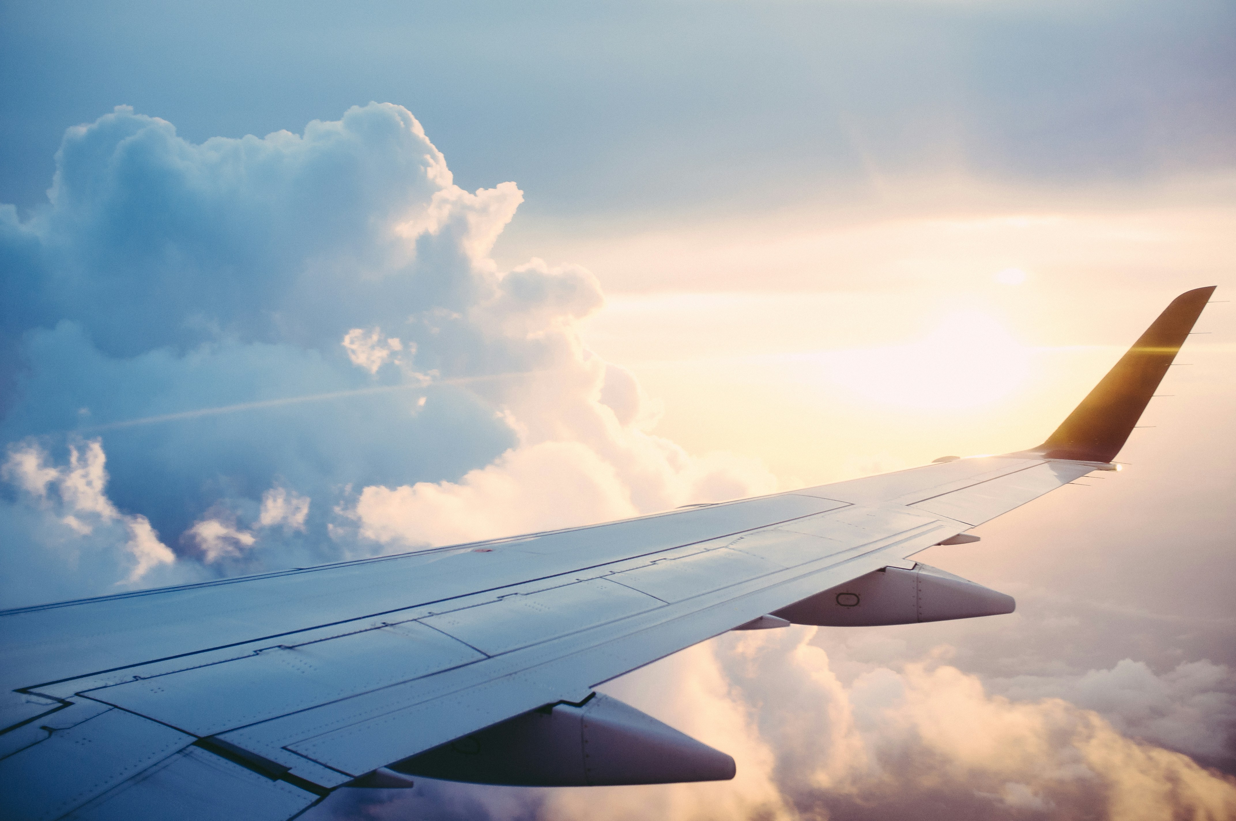 Wing in the sky