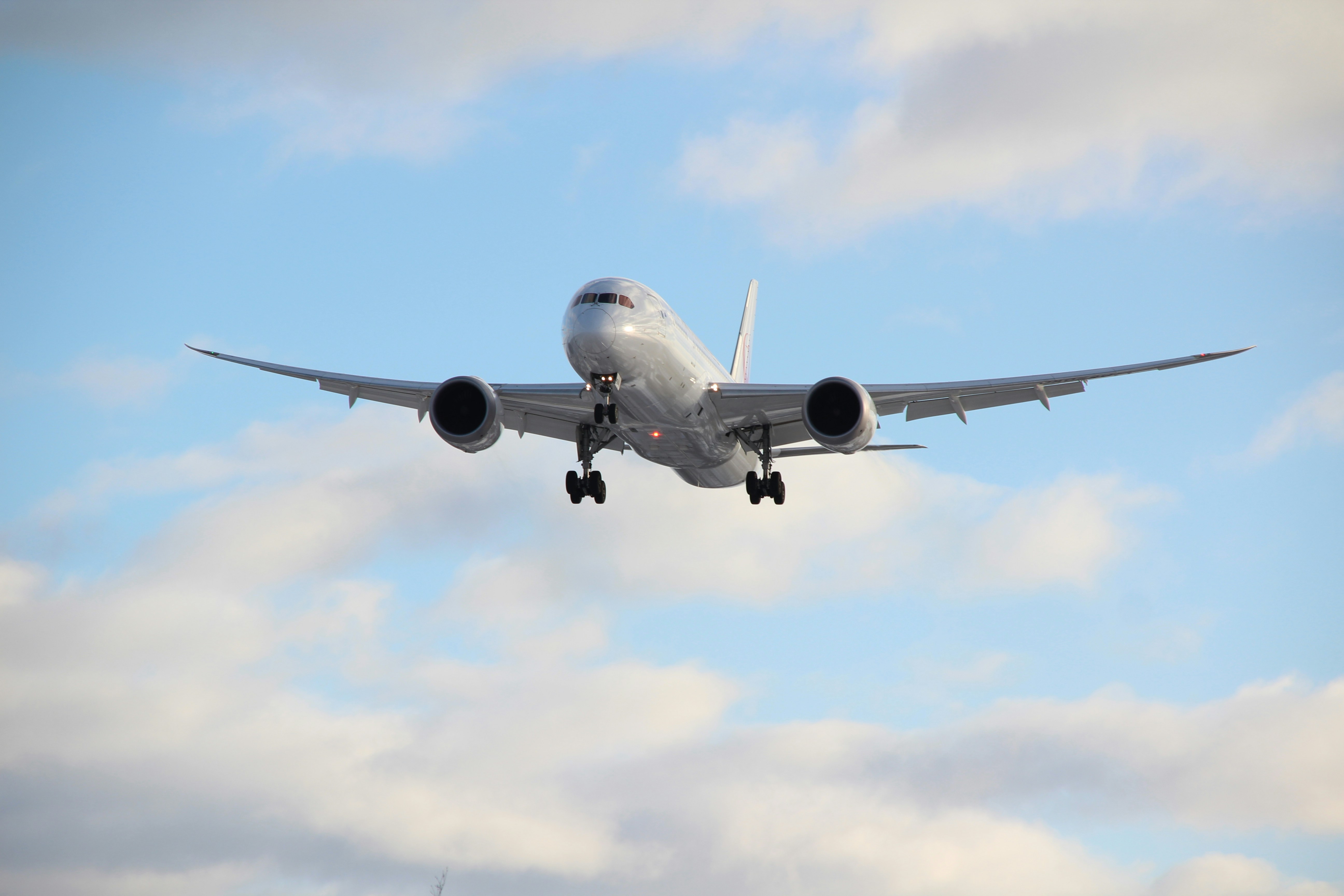Flight
