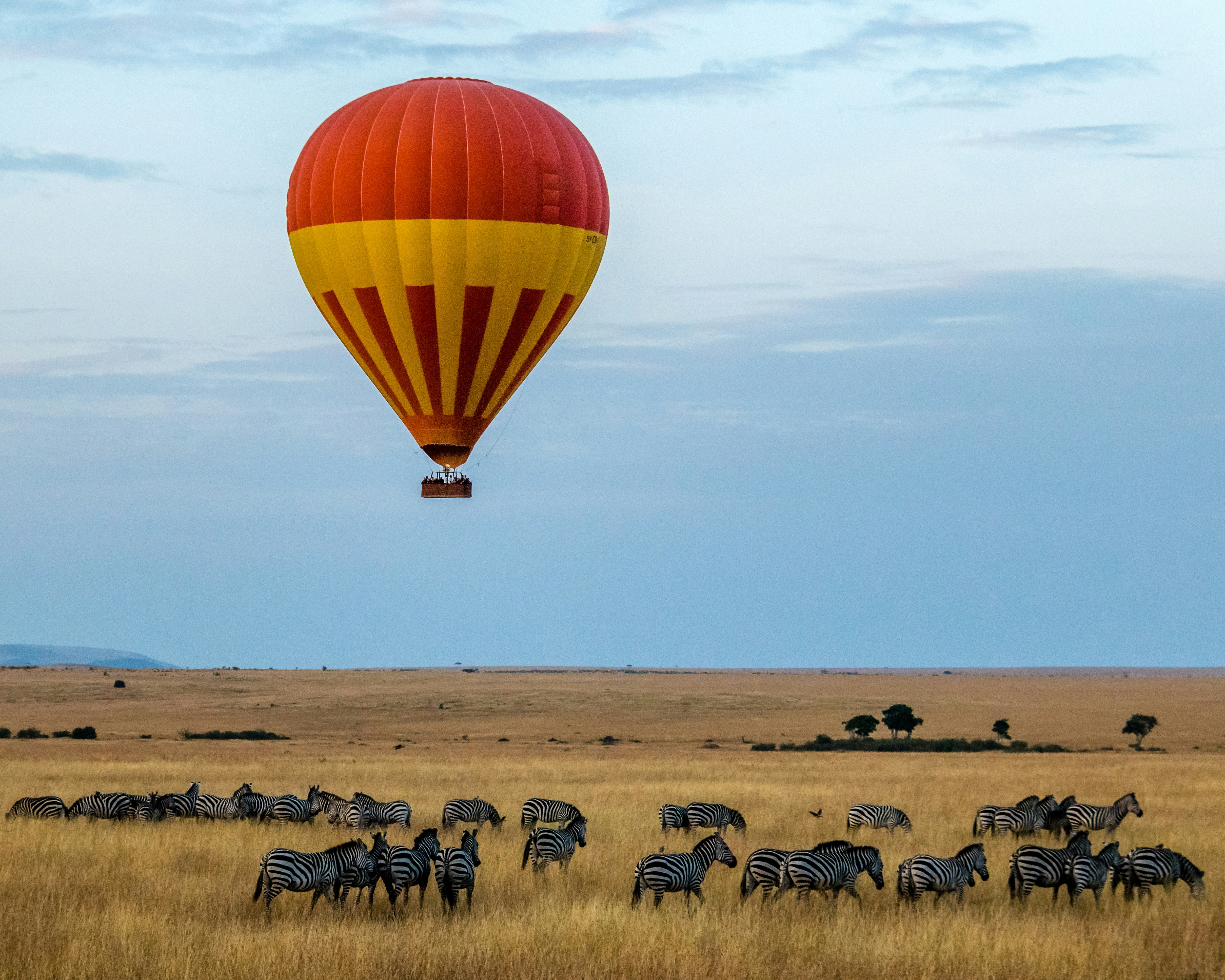 Hot air balloon in the savanna
