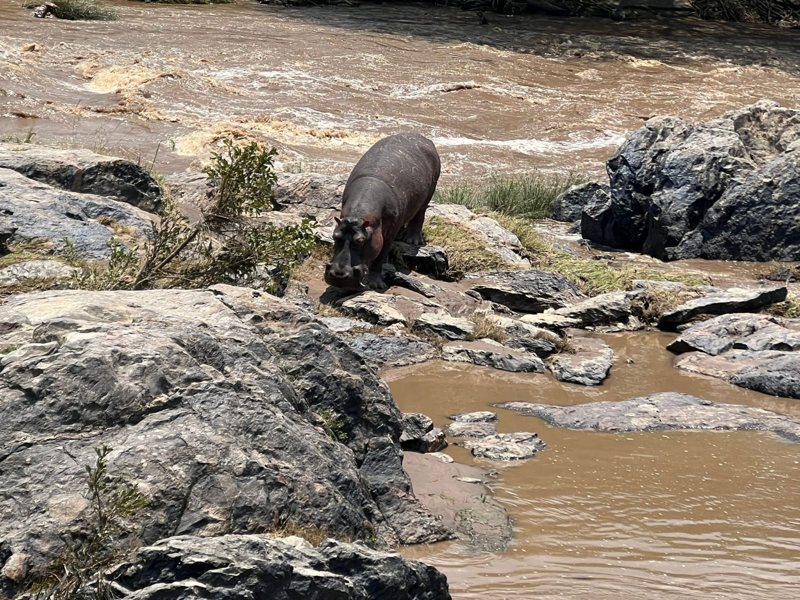 Naivasha & Samburu Safari Adventure